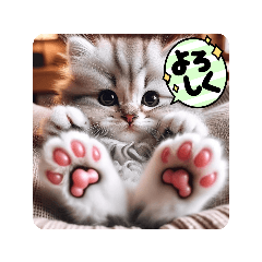 [LINEスタンプ] ゆるかわ子猫