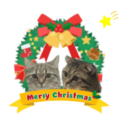 [LINEスタンプ] モカとビスのご機嫌な毎日 X'mas ＆お正月