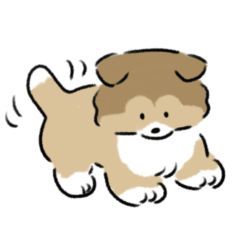 [LINEスタンプ] シェットランドシープドッグの子犬【連絡】