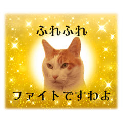 [LINEスタンプ] 上品お猫さんのやさしさ溢れる日常会話