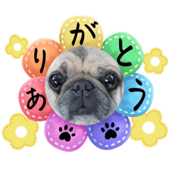 [LINEスタンプ] くぅちゃんがスタンプになったよ2