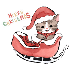 [LINEスタンプ] 猫と一緒にメリークリスマス！