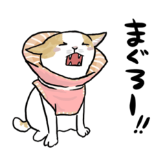 [LINEスタンプ] 【nappo】にゃんこちゃん大集合