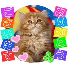 [LINEスタンプ] ねこまーち プリンセスサファイア