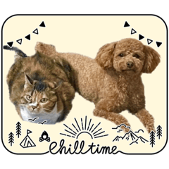 [LINEスタンプ] ふゆと＆モンチ＆プチきなこ
