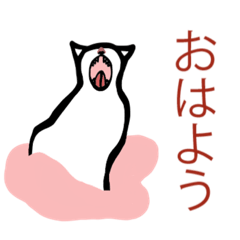 [LINEスタンプ] ちょっぴりユニークな白猫スタンプ