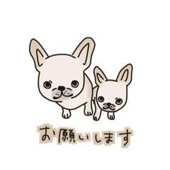 [LINEスタンプ] フレブル フレンチブルドッグ 犬 クリーム