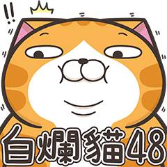 [LINEスタンプ] ランラン猫 48 (台湾版)の画像（メイン）
