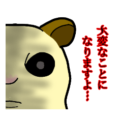 [LINEスタンプ] 今日一番のかわいい笑顔でにこぉ、にこぉ！