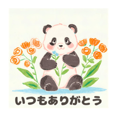 [LINEスタンプ] 可愛い赤ちゃんパンダのスタンプ