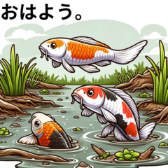 [LINEスタンプ] 色々な種類の鯉が泳いでいる