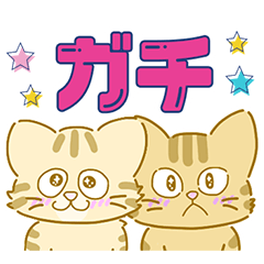 [LINEスタンプ] 茶トラ兄弟「オイボイ」イラストver.