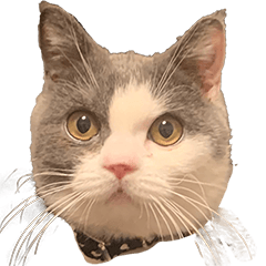 [LINEスタンプ] 犬と猫たち2