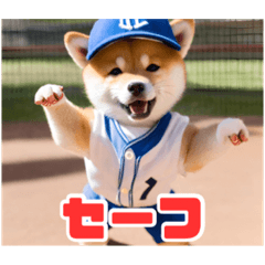 [LINEスタンプ] 野球好きな柴犬スタンプ4