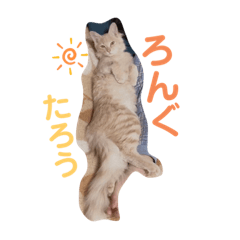 [LINEスタンプ] たろうとらぐ