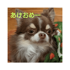 [LINEスタンプ] マロ(3)