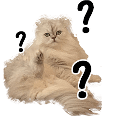 [LINEスタンプ] わんとにゃんです
