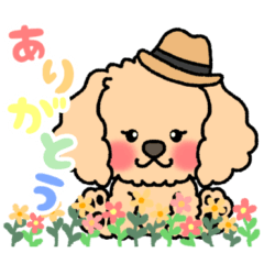 [LINEスタンプ] おしゃれな帽子わんこ