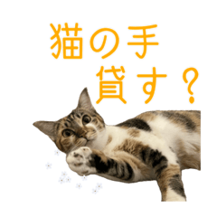 [LINEスタンプ] ひなちゃんとてまりちゃん