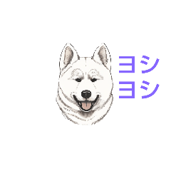 [LINEスタンプ] もふわん2