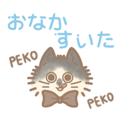 [LINEスタンプ] おはなが黒いねこの日常