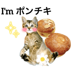 [LINEスタンプ] テヌレオポン ポンチキ