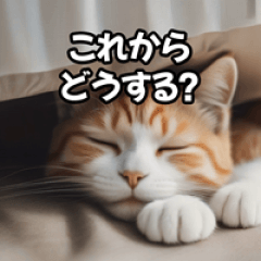 [LINEスタンプ] ほっこりネコタイム