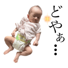 [LINEスタンプ] ふげってみた5