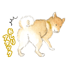 [LINEスタンプ] 犬ずもう 力士の日常