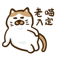 [LINEスタンプ] 猫おじさんの生活とハッピーニューイヤー。