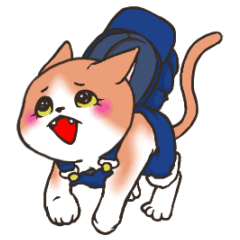 [LINEスタンプ] キャスキャットと基本のあいさつ