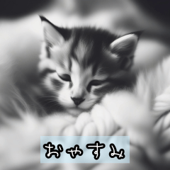 [LINEスタンプ] 猫のスタンプ 40-45