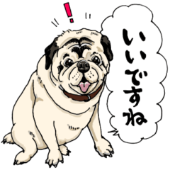 [LINEスタンプ] 毎日パグのチビ君