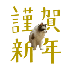 [LINEスタンプ] 愛猫杏太郎の挨拶