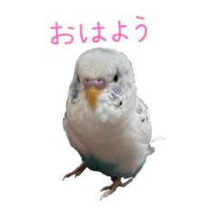 [LINEスタンプ] ごま（オス）