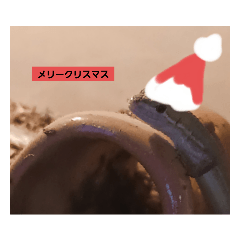 [LINEスタンプ] うちのペットたちクリスマスばん