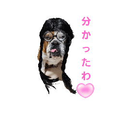[LINEスタンプ] 大好き金太郎8