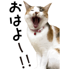 [LINEスタンプ] めんつゆのびんもーから！