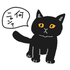 [LINEスタンプ] 黒猫にゃんのスタンプ