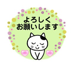 [LINEスタンプ] 白黒ネコのあいさつスタンプ