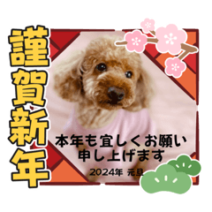 [LINEスタンプ] 美羽さんの前向きスタンプ2024愛犬編