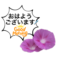 [LINEスタンプ] 庭に咲いた花々のスタンプ