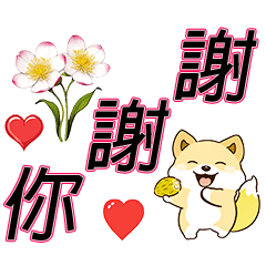 [LINEスタンプ] 大きな文字でかわいい柴犬の日常セリフ