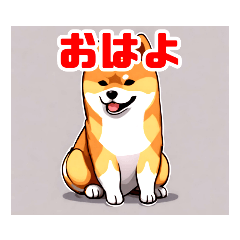 [LINEスタンプ] Shiba-inu-san