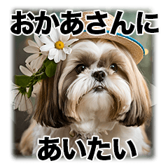 [LINEスタンプ] 君に会いたいスタンプ