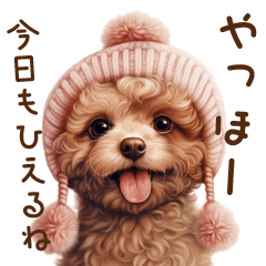 [LINEスタンプ] 冬だー！トイプードルの子犬スタンプ