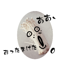 [LINEスタンプ] えのきさん、