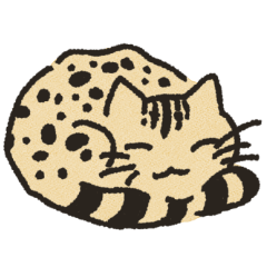 [LINEスタンプ] ねこのいっせい1 はじまり