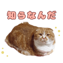 [LINEスタンプ] ももなつまみいる