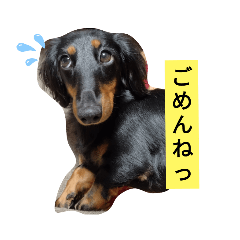 [LINEスタンプ] まろモカstamp